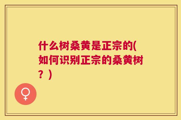 什么树桑黄是正宗的(如何识别正宗的桑黄树？)