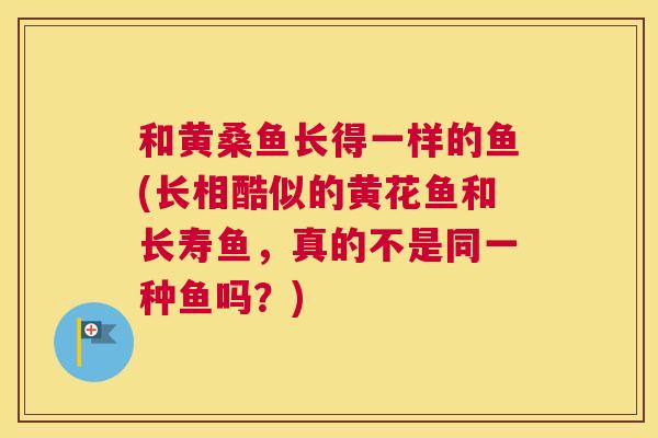 和黄桑鱼长得一样的鱼(长相酷似的黄花鱼和长寿鱼，真的不是同一种鱼吗？)