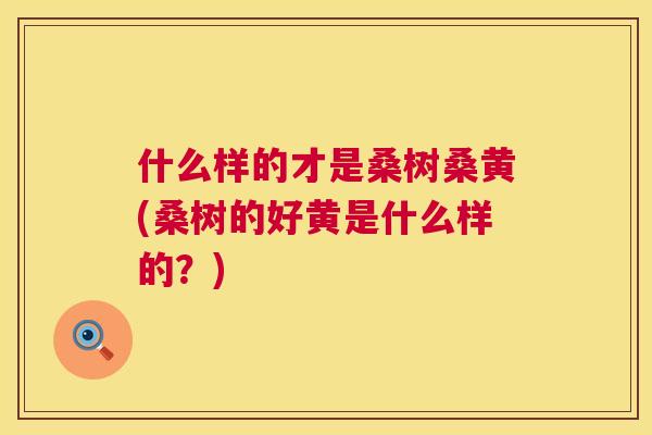 什么样的才是桑树桑黄(桑树的好黄是什么样的？)