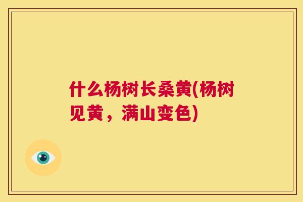 什么杨树长桑黄(杨树见黄,满山变色) 什么杨树长桑黄(杨树见黄,满山变色)