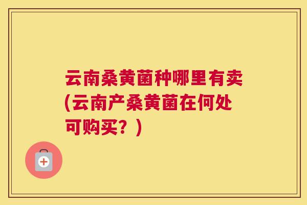 云南桑黄菌种哪里有卖(云南产桑黄菌在何处可购买？)