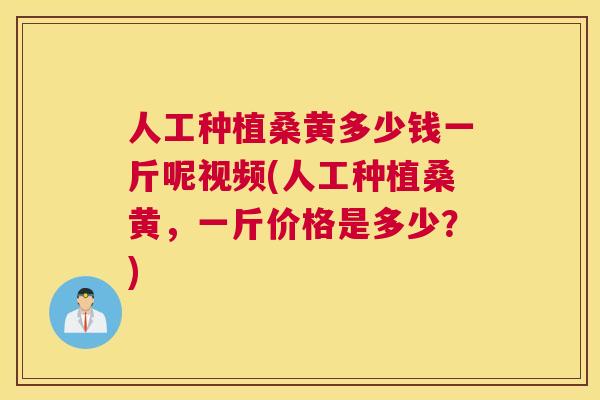 人工种植桑黄多少钱一斤呢视频(人工种植桑黄,一斤价格是多少?) 人工种植桑黄多少钱一斤呢视频(人工种植桑黄,一斤价格是多少?)