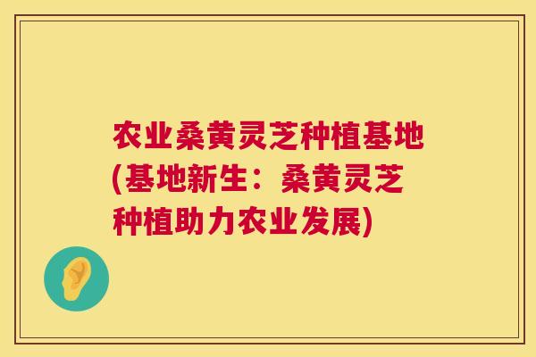 农业桑黄灵芝种植基地(基地新生：桑黄灵芝种植助力农业发展)