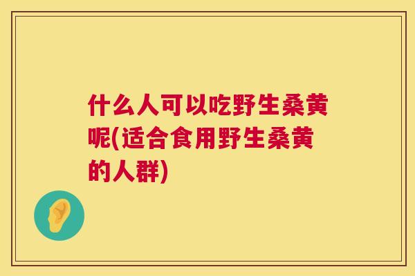 什么人可以吃野生桑黄呢(适合食用野生桑黄的人群) 什么人可以吃野生桑黄呢(适合食用野生桑黄的人群)