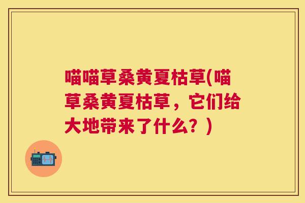 喵喵草桑黄夏枯草(喵草桑黄夏枯草，它们给大地带来了什么？)