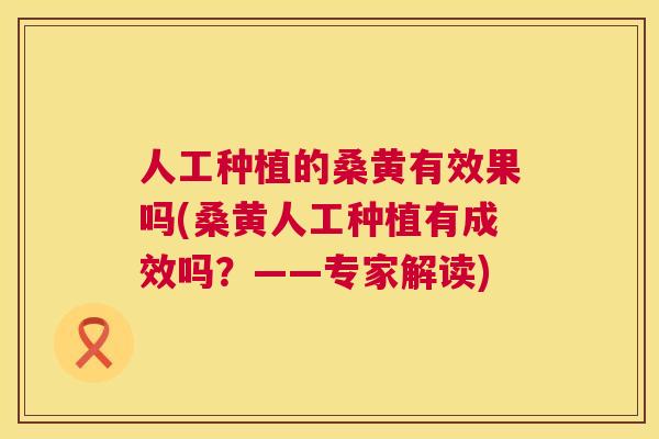 人工种植的桑黄有效果吗(桑黄人工种植有成效吗?——专家解读) 人工种植的桑黄有效果吗(桑黄人工种植有成效吗?——专家解读)