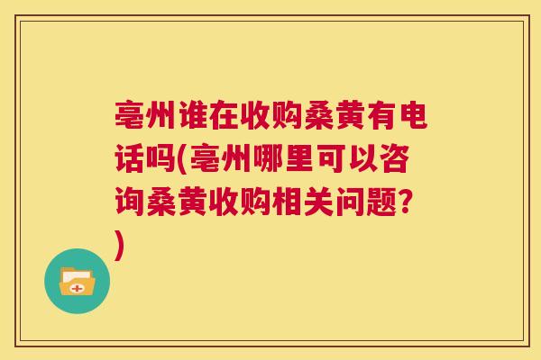 亳州谁在收购桑黄有电话吗(亳州哪里可以咨询桑黄收购相关问题？)