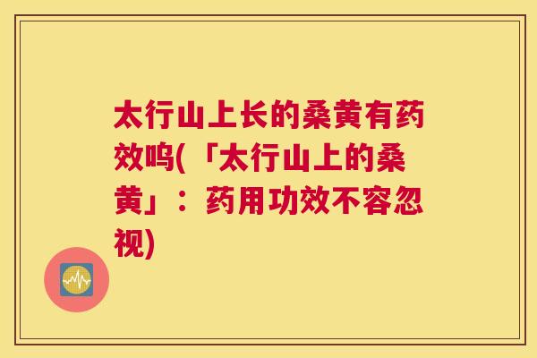 太行山上长的桑黄有呜(「太行山上的桑黄」：药用功效不容忽视)