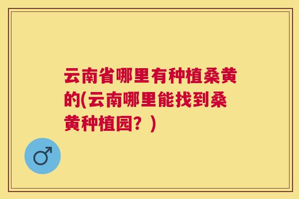 云南省哪里有种植桑黄的(云南哪里能找到桑黄种植园？)