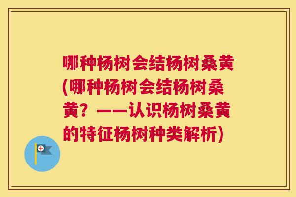哪种杨树会结杨树桑黄(哪种杨树会结杨树桑黄？——认识杨树桑黄的特征杨树种类解析)