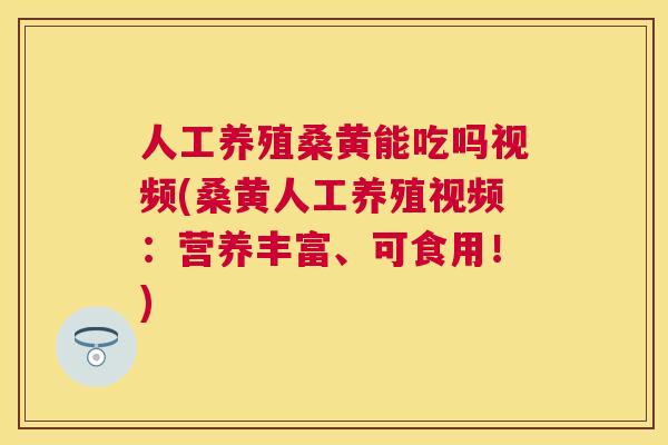 人工养殖桑黄能吃吗视频(桑黄人工养殖视频：营养丰富、可食用！)