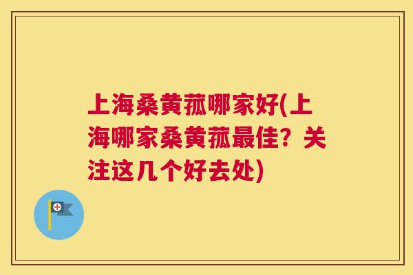 上海桑黄菰哪家好(上海哪家桑黄菰佳？关注这几个好去处)