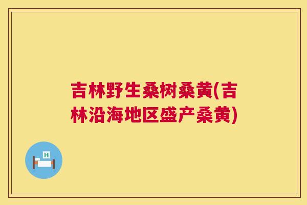 吉林野生桑树桑黄(吉林沿海地区盛产桑黄)