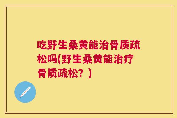 吃野生桑黄能吗(野生桑黄能？)