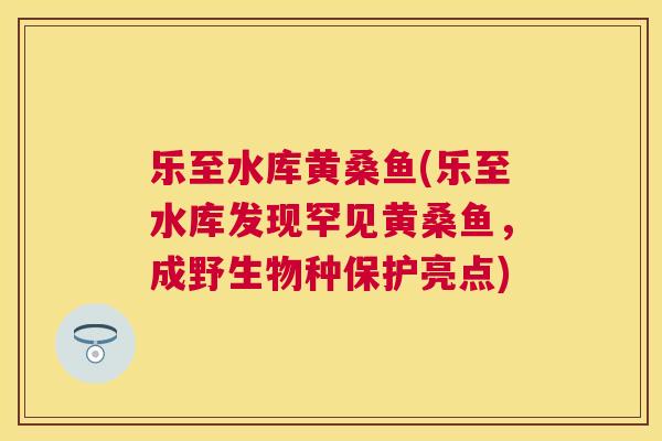 乐至水库黄桑鱼(乐至水库发现罕见黄桑鱼，成野生物种保护亮点)