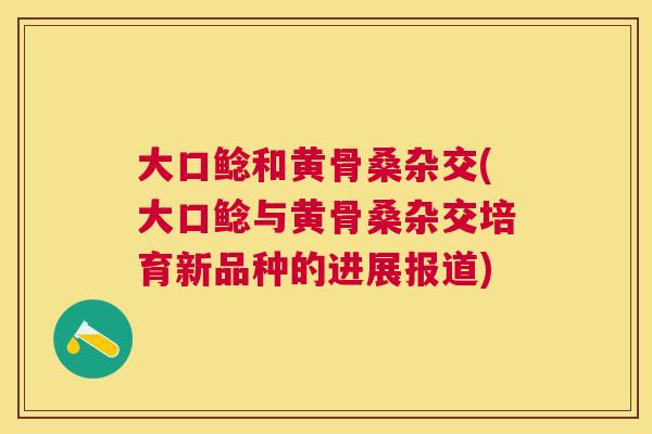 大口鲶和黄骨桑杂交(大口鲶与黄骨桑杂交培育新品种的进展报道)