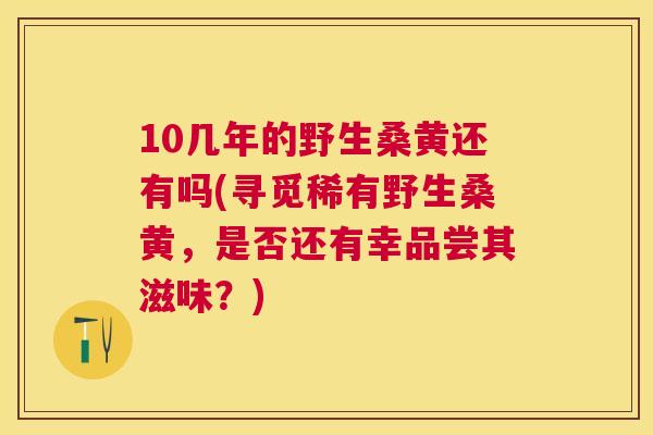 10几年的野生桑黄还有吗(寻觅稀有野生桑黄，是否还有幸品尝其滋味？)