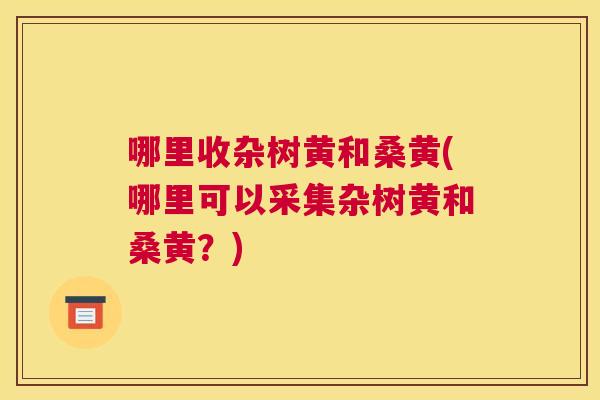 哪里收杂树黄和桑黄(哪里可以采集杂树黄和桑黄？)