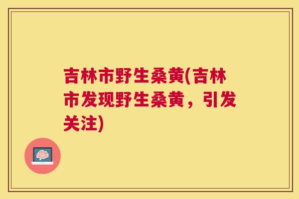 吉林市野生桑黄(吉林市发现野生桑黄，引发关注)