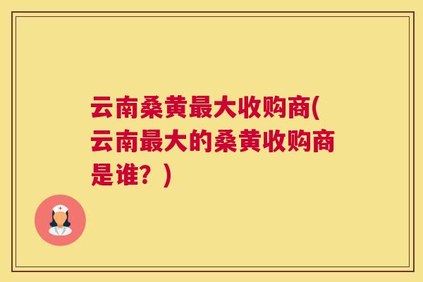云南桑黄大收购商(云南大的桑黄收购商是谁？)