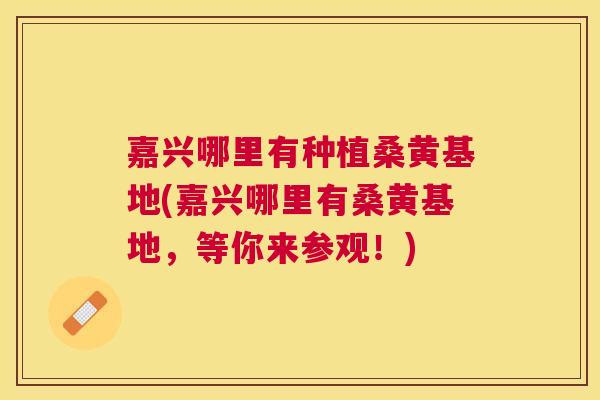 嘉兴哪里有种植桑黄基地(嘉兴哪里有桑黄基地，等你来参观！)