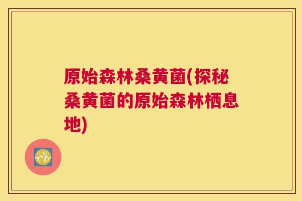 原始森林桑黄菌(探秘桑黄菌的原始森林栖息地)