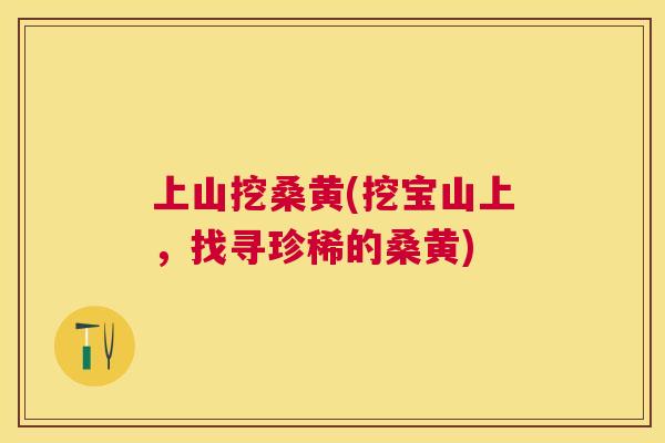 上山挖桑黄(挖宝山上，找寻珍稀的桑黄)