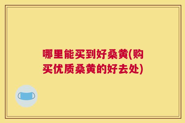 哪里能买到好桑黄(购买优质桑黄的好去处)
