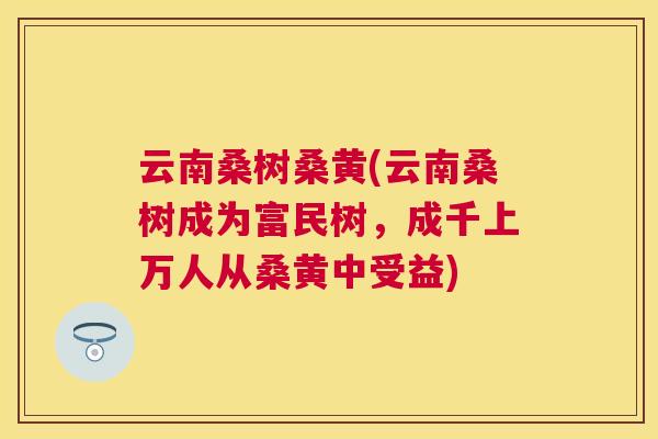 云南桑树桑黄(云南桑树成为富民树，成千上万人从桑黄中受益)