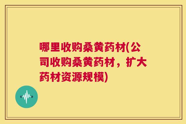 哪里收购桑黄药材(公司收购桑黄药材，扩大药材资源规模)