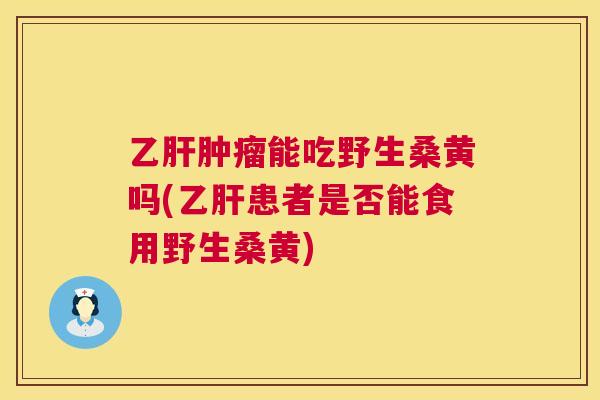 能吃野生桑黄吗(患者是否能食用野生桑黄)