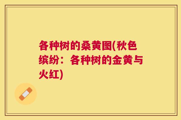各种树的桑黄图(秋色缤纷：各种树的金黄与火红)