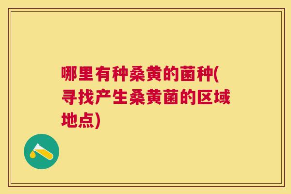 哪里有种桑黄的菌种(寻找产生桑黄菌的区域地点)