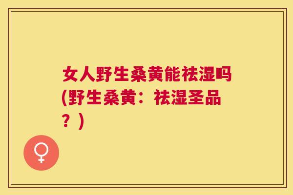 女人野生桑黄能祛湿吗(野生桑黄：祛湿圣品？)