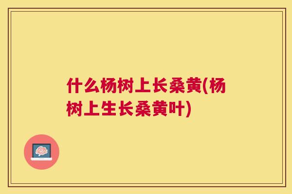 什么杨树上长桑黄(杨树上生长桑黄叶)