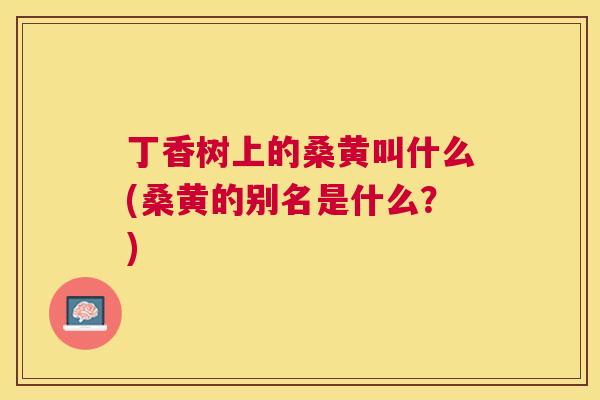 丁香树上的桑黄叫什么(桑黄的别名是什么？)