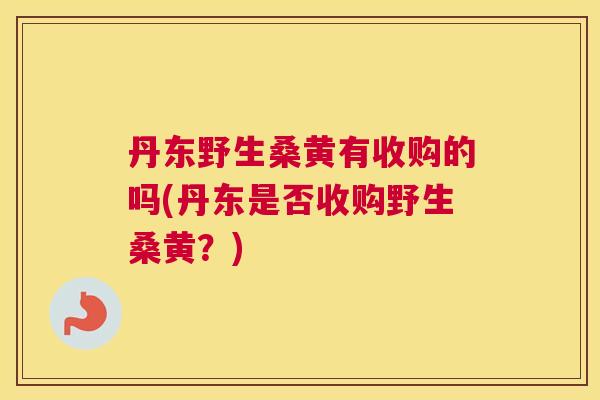 丹东野生桑黄有收购的吗(丹东是否收购野生桑黄？)