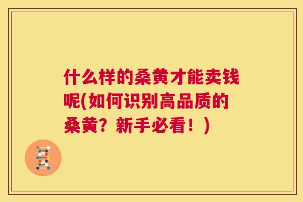 什么样的桑黄才能卖钱呢(如何识别高品质的桑黄？新手必看！)