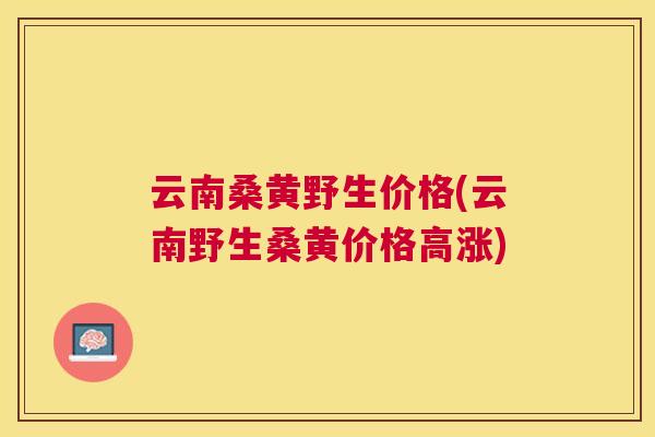 云南桑黄野生价格(云南野生桑黄价格高涨)