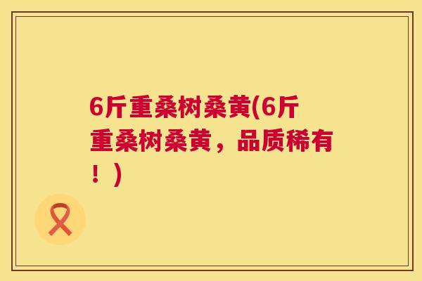 6斤重桑树桑黄(6斤重桑树桑黄，品质稀有！)