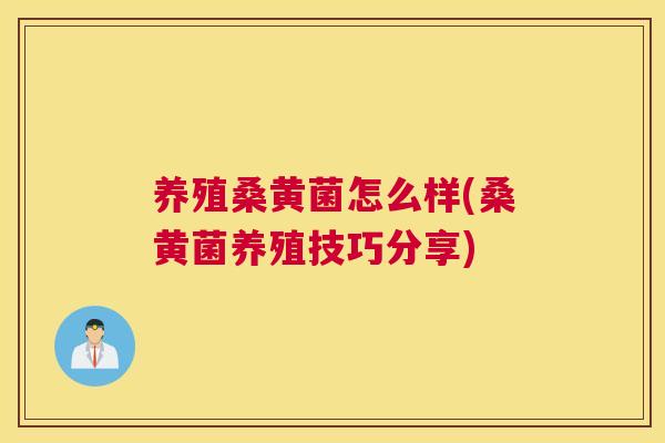 养殖桑黄菌怎么样(桑黄菌养殖技巧分享)