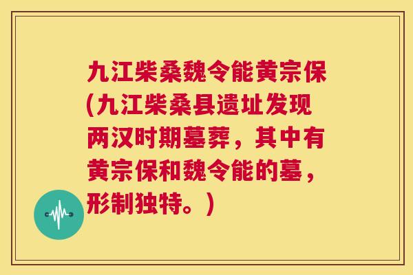 九江柴桑魏令能黄宗保(九江柴桑县遗址发现两汉时期墓葬，其中有黄宗保和魏令能的墓，形制独特。)