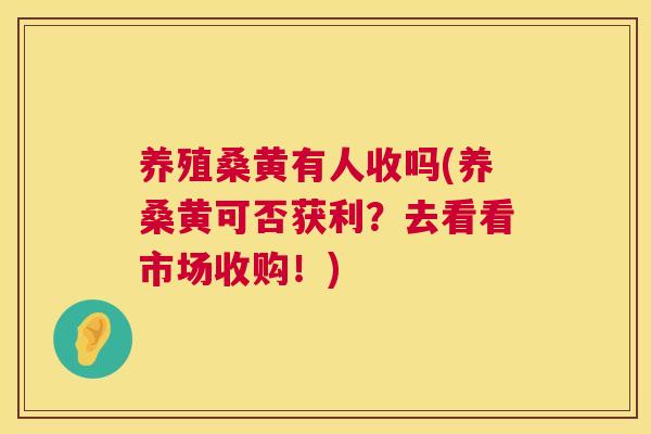 养殖桑黄有人收吗(养桑黄可否获利？去看看市场收购！)