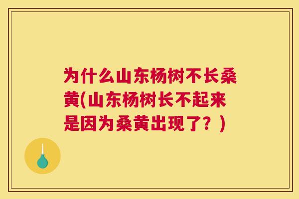 为什么山东杨树不长桑黄(山东杨树长不起来是因为桑黄出现了？)