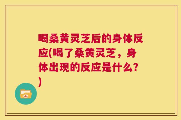 喝桑黄灵芝后的身体反应(喝了桑黄灵芝，身体出现的反应是什么？)