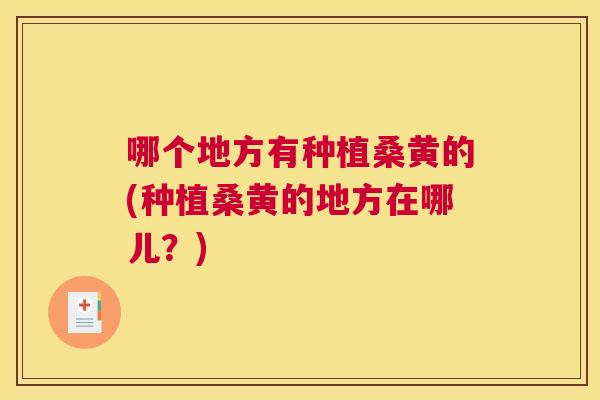 哪个地方有种植桑黄的(种植桑黄的地方在哪儿？)