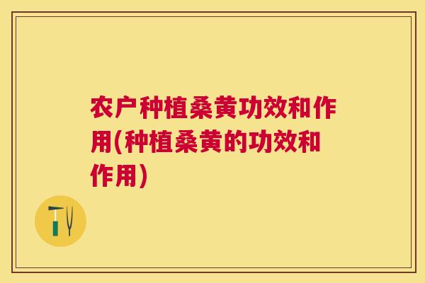 农户种植桑黄功效和作用(种植桑黄的功效和作用)