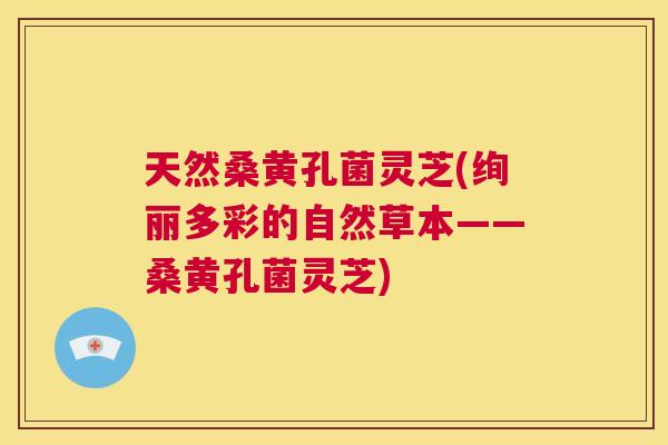 天然桑黄孔菌灵芝(绚丽多彩的自然草本——桑黄孔菌灵芝)