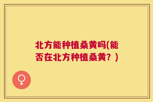 北方能种植桑黄吗(能否在北方种植桑黄？)