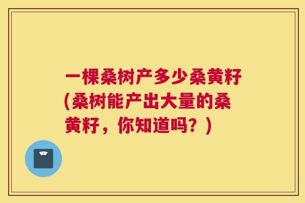 一棵桑树产多少桑黄籽(桑树能产出大量的桑黄籽，你知道吗？)